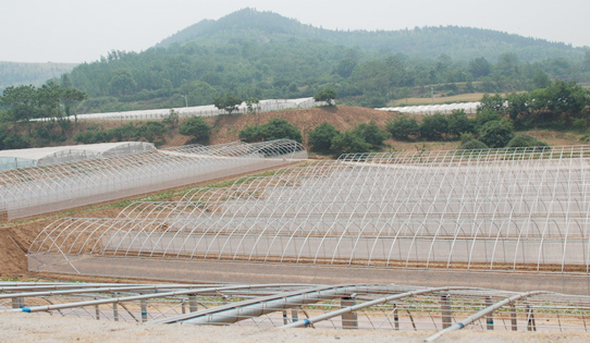 蔬菜種子實(shí)驗基地江蘇科研基地