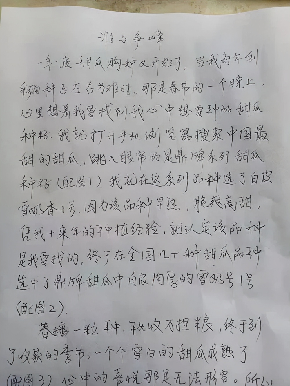 河南焦作的李向林今年種植甜瓜新品種，客戶直接拉貨走人